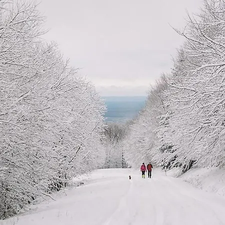 Square 16 - Absolutely Location